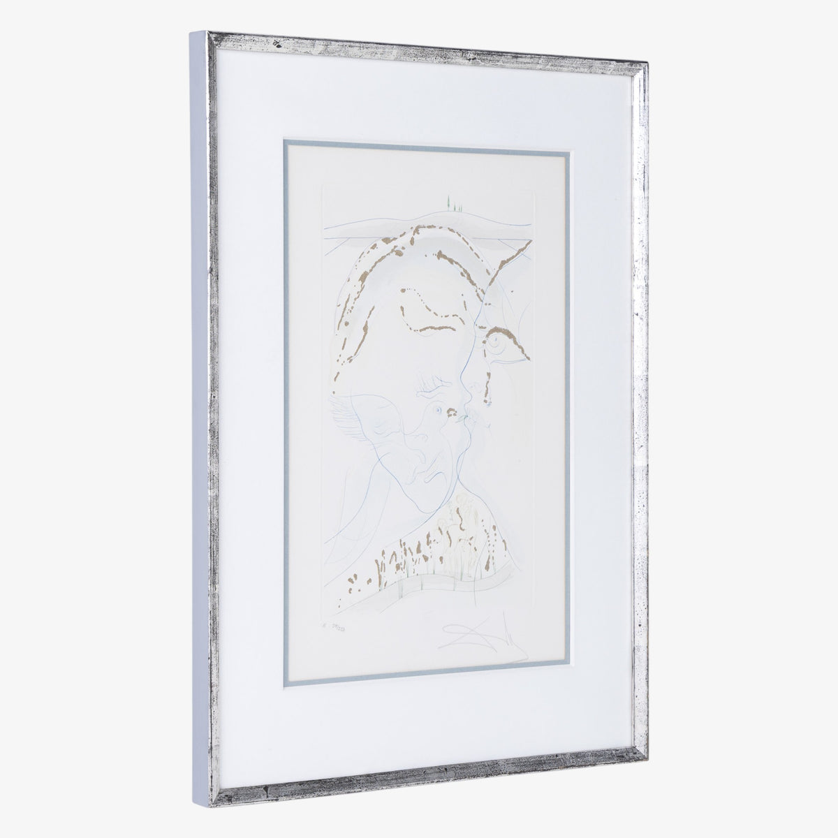 Mixed media in silver frame