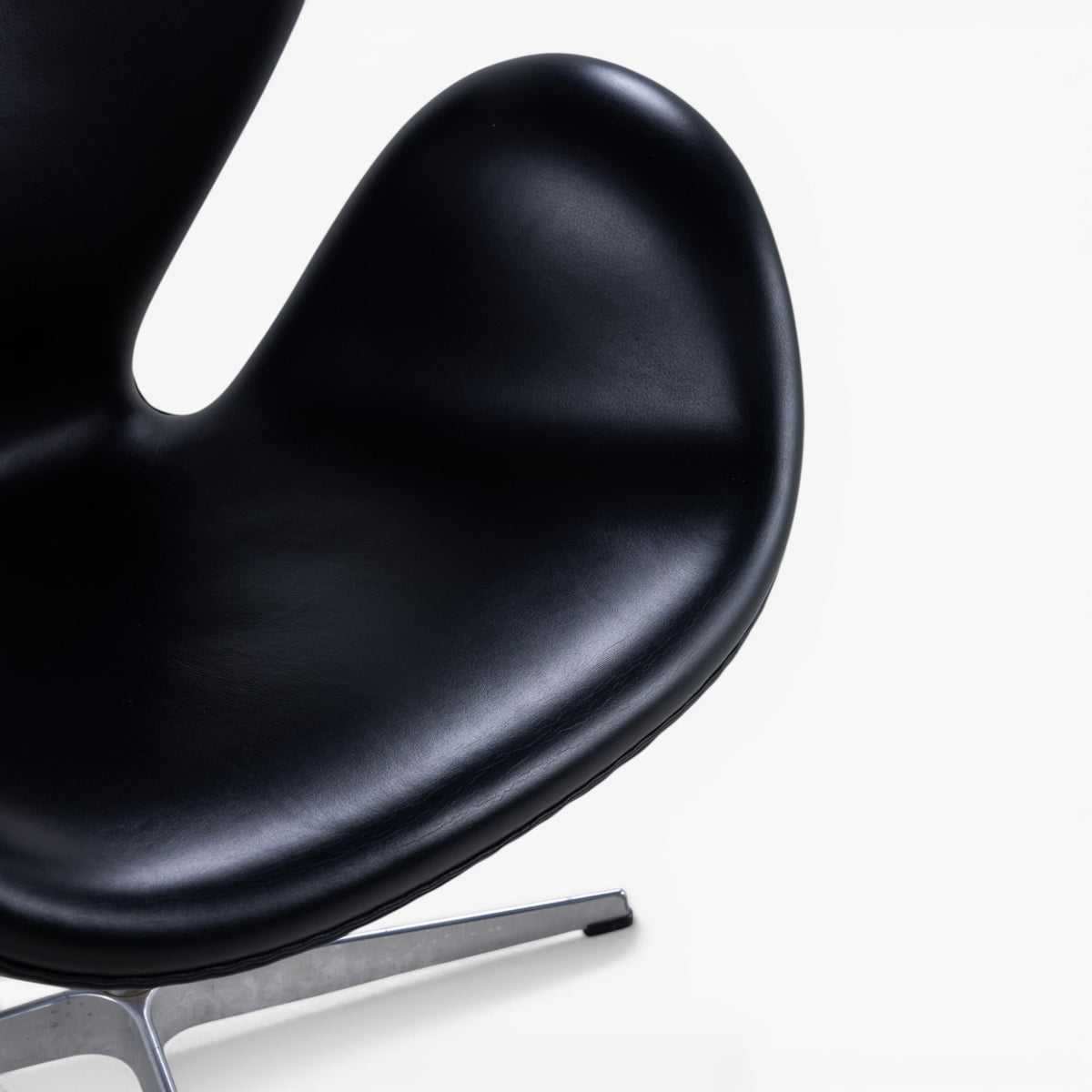 'The Swan' in black leather