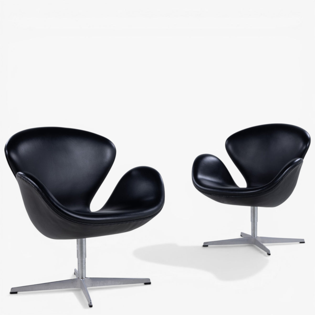 'The Swan' in black leather